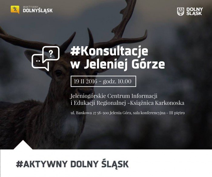 aktywny-dolny-slask-konsultacje-w-jeleniej-gorze-61932