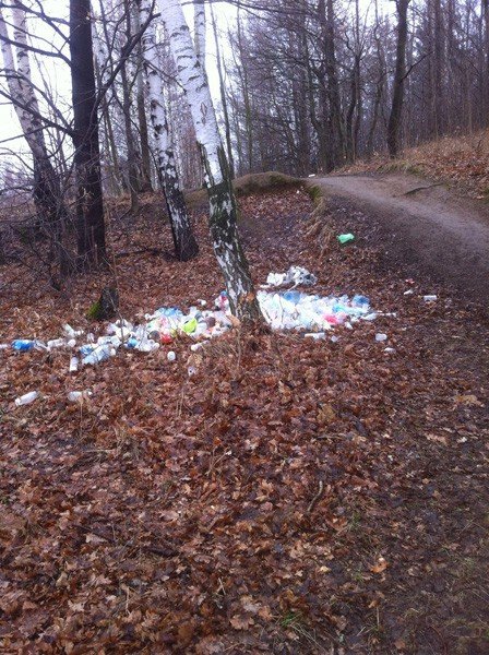 ukrad-kontener-i-wyrzuci-smieci-koo-cmentarza-foto-62020