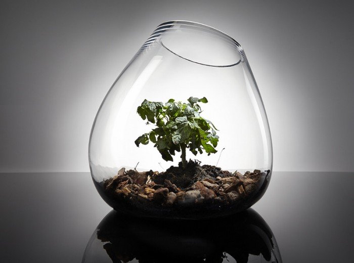 botanicum-a-kujawskiej-w-muzeum-przyrodniczym-foto-62055