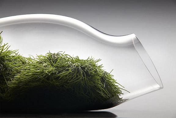 botanicum-w-muzeum-przyrodniczym-foto-62090