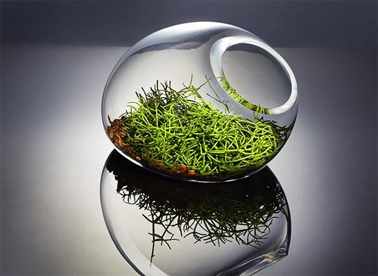 botanicum-w-muzeum-przyrodniczym-foto-62090