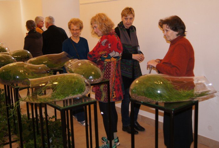 botanicum-zagoscio-w-muzeum-przyrodniczym-foto-62194