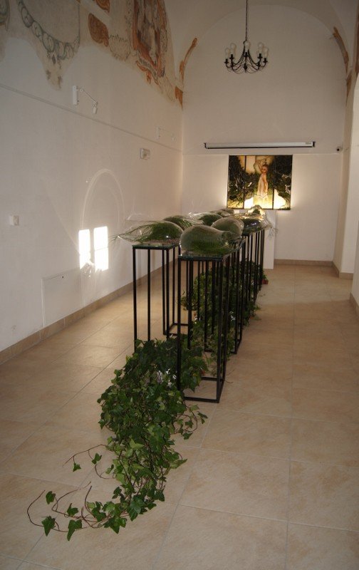 botanicum-zagoscio-w-muzeum-przyrodniczym-foto-62194