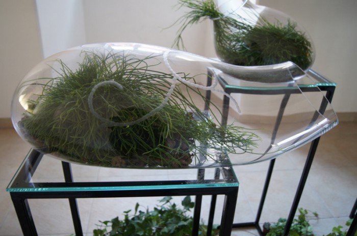 botanicum-zagoscio-w-muzeum-przyrodniczym-foto-62194