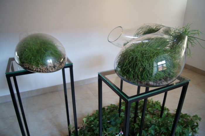 botanicum-zagoscio-w-muzeum-przyrodniczym-foto-62194