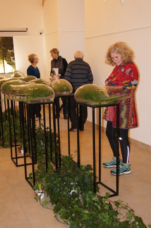 botanicum-zagoscio-w-muzeum-przyrodniczym-foto-62194