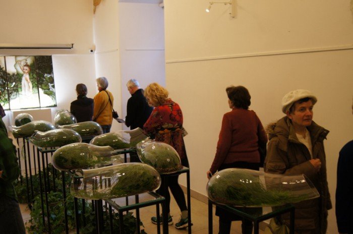 botanicum-zagoscio-w-muzeum-przyrodniczym-foto-62194