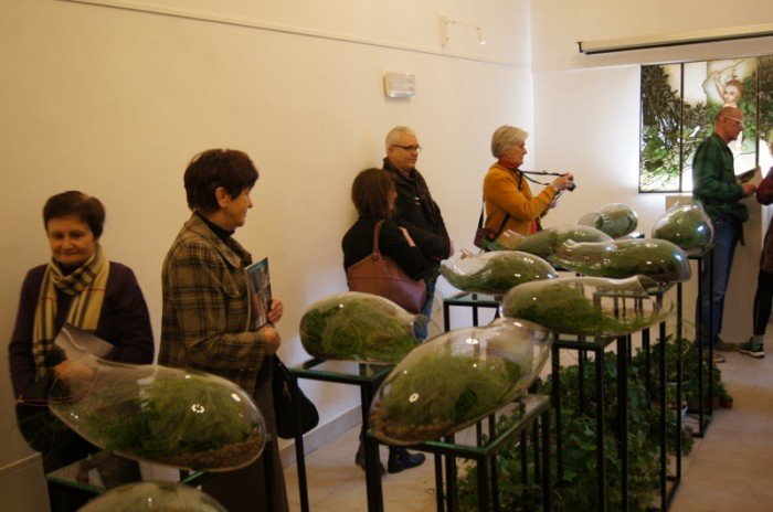 botanicum-zagoscio-w-muzeum-przyrodniczym-foto-62194