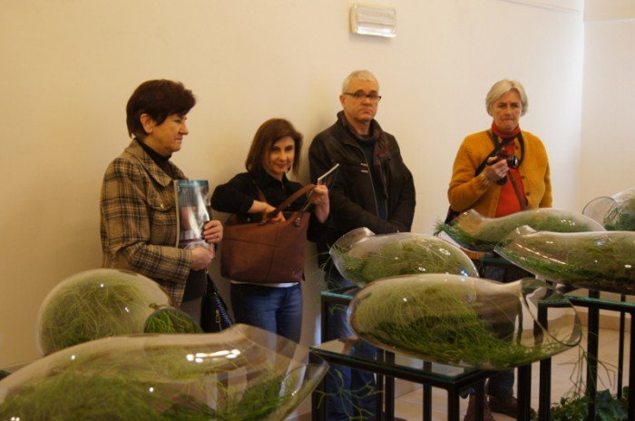 botanicum-zagoscio-w-muzeum-przyrodniczym-foto-62194