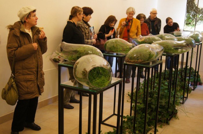 botanicum-zagoscio-w-muzeum-przyrodniczym-foto-62194