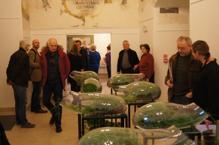 botanicum-zagoscio-w-muzeum-przyrodniczym-foto-62194