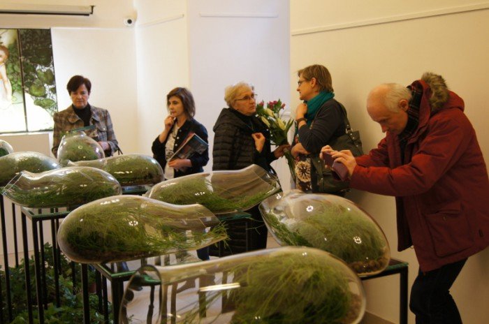 botanicum-zagoscio-w-muzeum-przyrodniczym-foto-62194