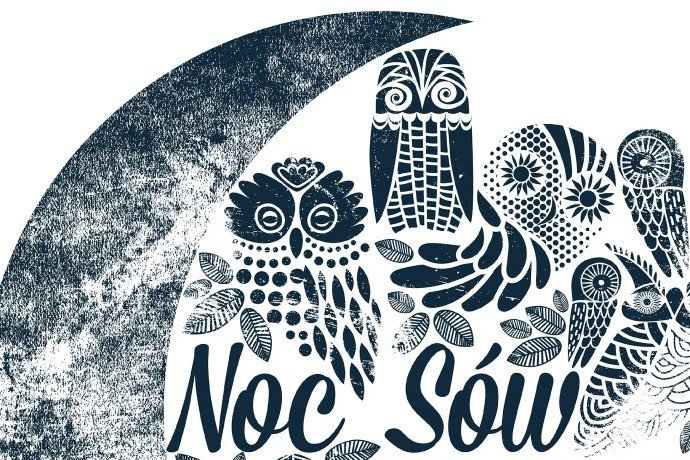 noc-sow-w-karkonoskim-parku-narodowym-62246