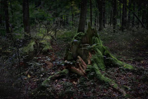 wystawa-waldemara-grzelaka-w-karpaczu-foto-62262