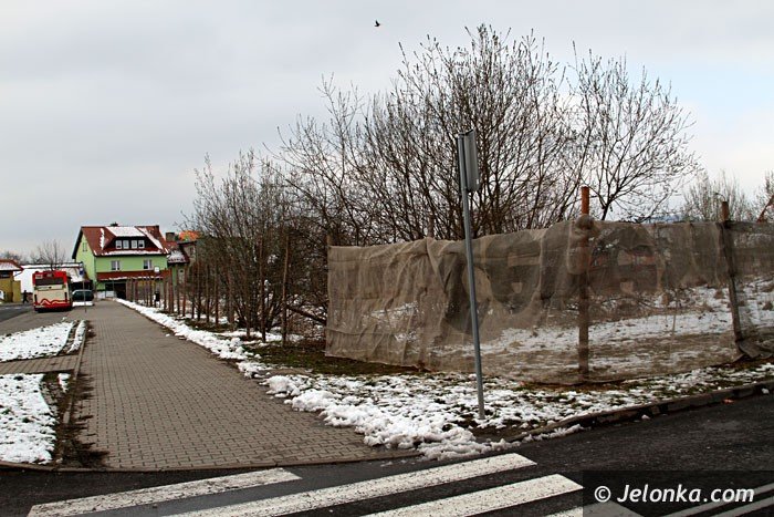 polomarket-w-miejscu-chaszczy-foto-62355