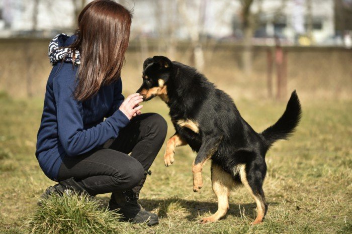 Szczęściarz