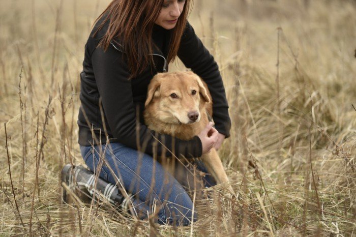 Zula