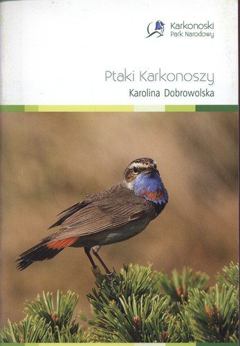 zaczytaj-sie-z-jelonkacom-foto-62594
