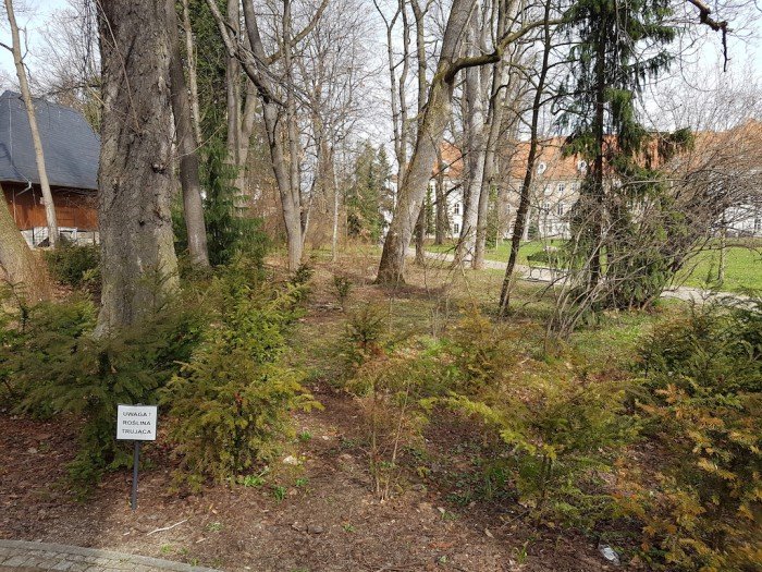 wielkie-porzadki-w-parku-zdrojowym-foto-62647