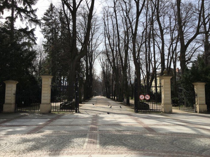 wielkie-porzadki-w-parku-zdrojowym-foto-62647