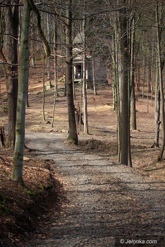 chronia-park-w-maciejowej-przed-zapomnieniem-foto-62752