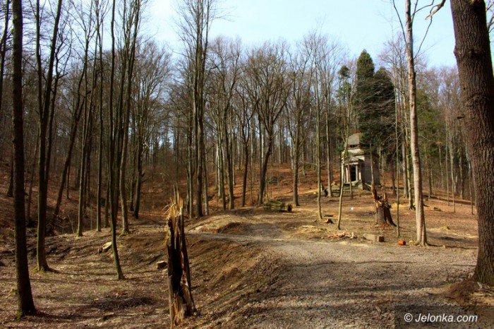 chronia-park-w-maciejowej-przed-zapomnieniem-foto-62752