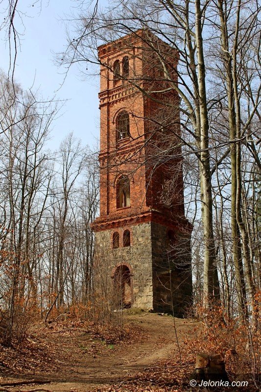 chronia-park-w-maciejowej-przed-zapomnieniem-foto-62752