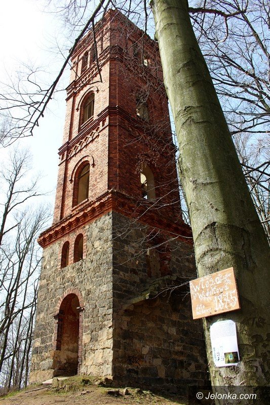 chronia-park-w-maciejowej-przed-zapomnieniem-foto-62752