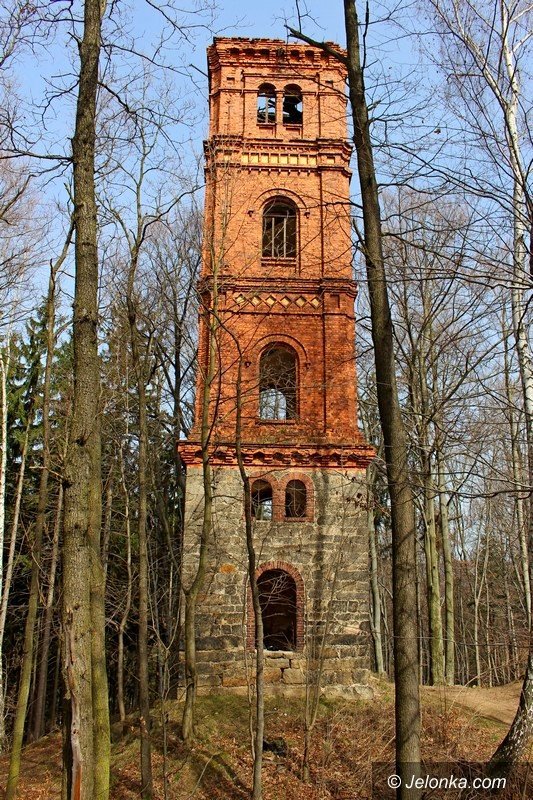 chronia-park-w-maciejowej-przed-zapomnieniem-foto-62752