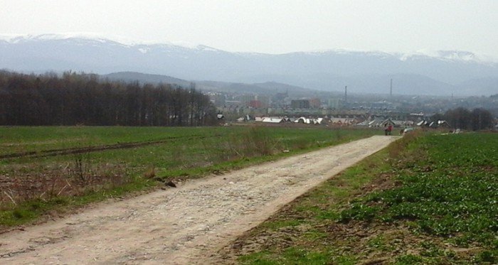 kierowcy-bez-kultury-kurza-na-spacerowiczow-foto-62832