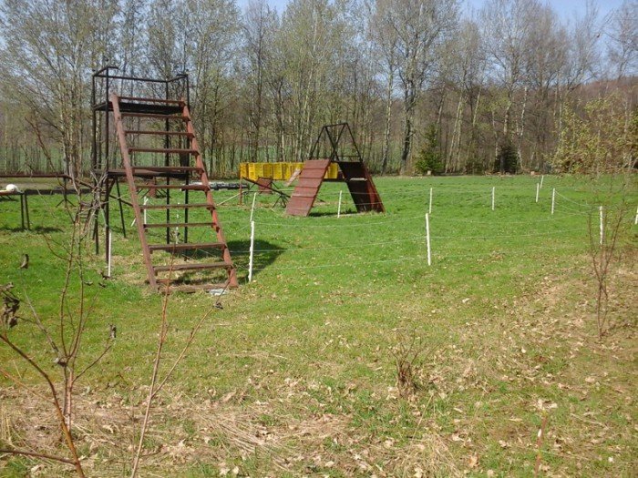 kierowcy-bez-kultury-kurza-na-spacerowiczow-foto-62832