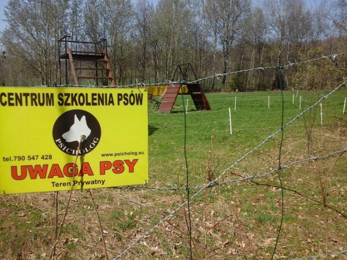 kierowcy-bez-kultury-kurza-na-spacerowiczow-foto-62832