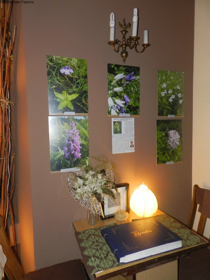 portrety-roslin-chronionych-w-kowarach-foto-62854