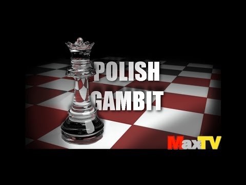 polski-gambit-62874