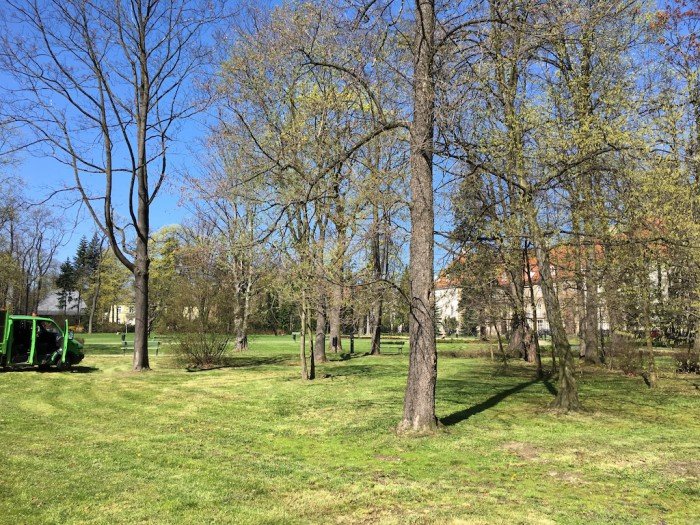 wiosennie-i-pracowicie-w-parku-zdrojowym-foto-62894