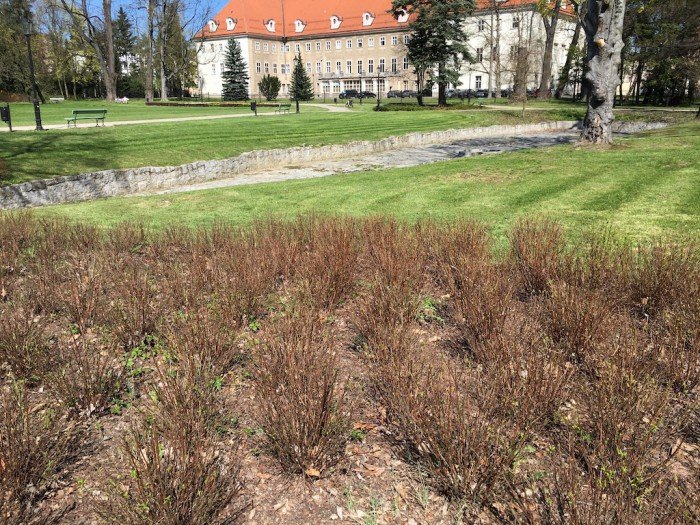 wiosennie-i-pracowicie-w-parku-zdrojowym-foto-62894