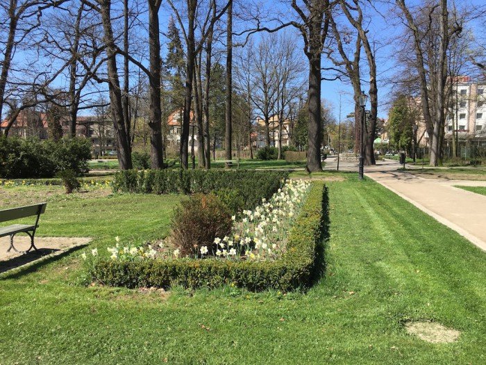 wiosennie-i-pracowicie-w-parku-zdrojowym-foto-62894
