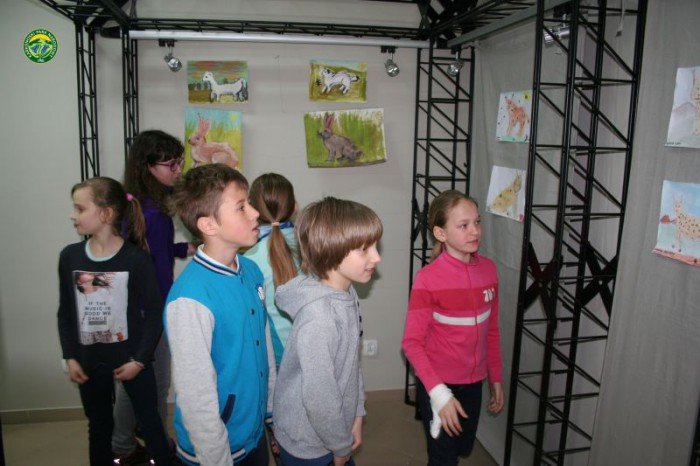 zobacz-portret-rysia-foto-62909