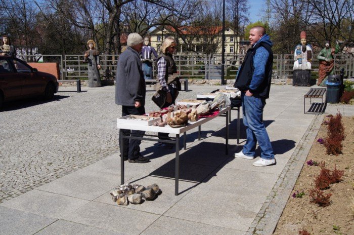 w-muzeum-przyrodniczym-obchodzono-dzien-ziemi-foto-62959