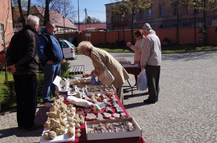 w-muzeum-przyrodniczym-obchodzono-dzien-ziemi-foto-62959