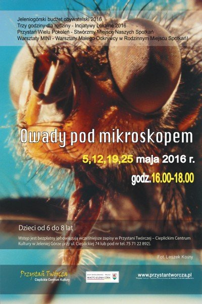 odkryj-wraz-z-dzieckiem-mikroswiat-owadow-62987