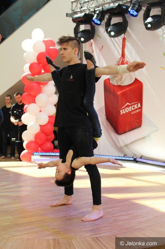 galeria-sudecka-ma-juz-roczek-foto-63036