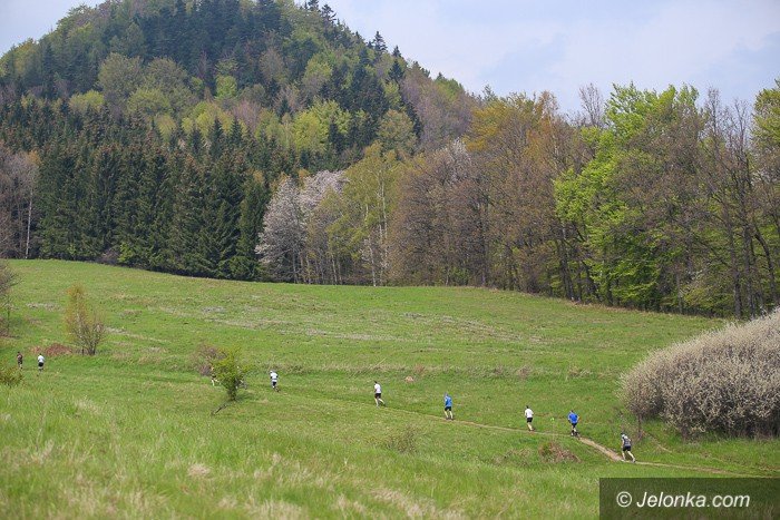 pobiegli-ledwie-dyche-w-pieknym-terenie-foto-63050