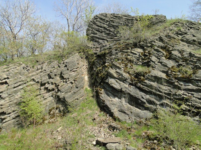 transgraniczny-spacer-wiosenny-foto-63060