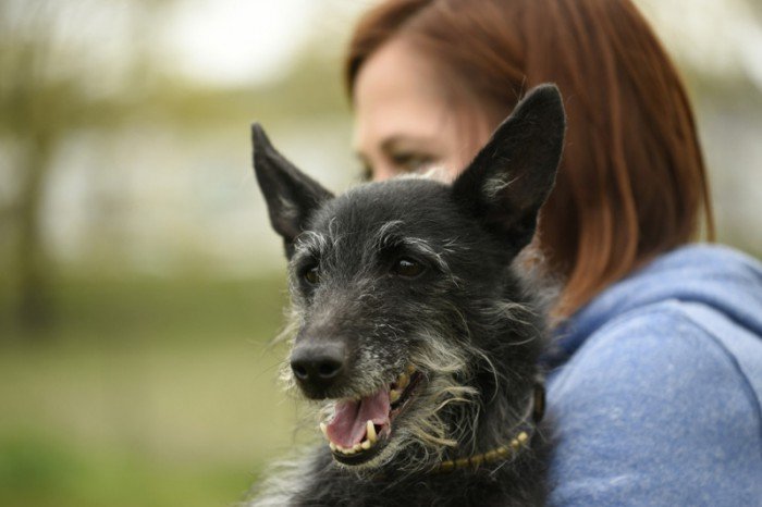 Shirley