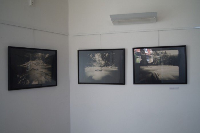 dualizm-fotografii-w-muzeum-przyrodniczym-foto-63133