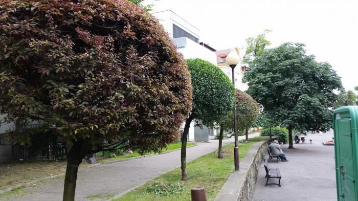 zbigniew-koodziej-pasjonat-niebanalny-foto-63136