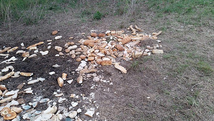ktos-wyrzuci-chleb-do-lasu-zamiast-oddac-biednym-foto-63156
