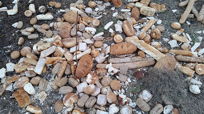 ktos-wyrzuci-chleb-do-lasu-zamiast-oddac-biednym-foto-63156