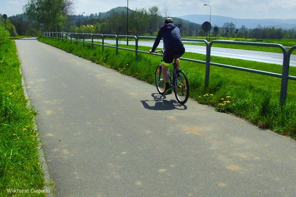 kto-posprzata-zabocona-droge-rowerowa-foto-63176